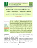 Diversity studies for anaerobic germination in rice (Oryza sativa L.)