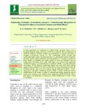 Enhancing coriander (Coriandrum sativum L.) yield through integration of chemical fertilizers, enriched compost and biofertilizers