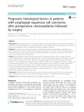 Prognostic histological factors in patients with esophageal squamous cell carcinoma after preoperative chemoradiation followed by surgery