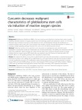 Curcumin decreases malignant characteristics of glioblastoma stem cells via induction of reactive oxygen species