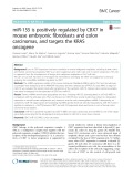 MiR-155 is positively regulated by CBX7 in mouse embryonic fibroblasts and colon carcinomas, and targets the KRAS oncogene