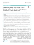 DNA alterations in Cd133+ and Cd133- tumour cells enriched from intra-operative human colon tumour biopsies