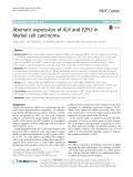 Aberrant expression of ALK and EZH2 in Merkel cell carcinoma