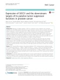 Expression of SOCS1 and the downstream targets of its putative tumor suppressor functions in prostate cancer