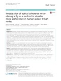 Investigation of optical coherence microelastography as a method to visualize micro-architecture in human axillary lymph nodes