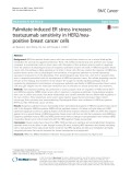 Palmitate-induced ER stress increases trastuzumab sensitivity in HER2/neupositive breast cancer cells