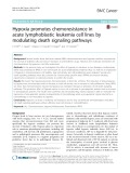 Hypoxia promotes chemoresistance in acute lymphoblastic leukemia cell lines by modulating death signaling pathways