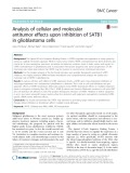 Analysis of cellular and molecular antitumor effects upon inhibition of SATB1 in glioblastoma cells