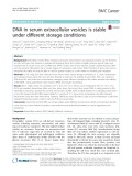 DNA in serum extracellular vesicles is stable under different storage conditions