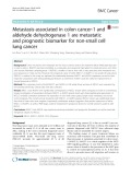Metastasis-associated in colon cancer-1 and aldehyde dehydrogenase 1 are metastatic and prognostic biomarker for non-small cell lung cancer