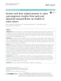 Activins and their related proteins in colon carcinogenesis: Insights from early and advanced azoxymethane rat models of colon cancer