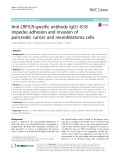 Anti-LRP/LR-specific antibody IgG1-iS18 impedes adhesion and invasion of pancreatic cancer and neuroblastoma cells