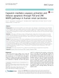 Capsaicin mediates caspases activation and induces apoptosis through P38 and JNK MAPK pathways in human renal carcinoma