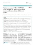 Heat shock protein 70–2 (HSP70-2) is a novel therapeutic target for colorectal cancer and is associated with tumor growth