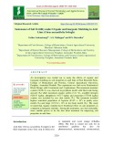 Sustenance of soil fertility under organic and inorganic mulching in acid lime (Citrus aurantifolia Swingle)