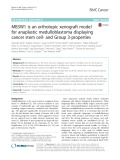 MB3W1 is an orthotopic xenograft model for anaplastic medulloblastoma displaying cancer stem cell- and group 3-properties