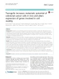 Transgelin increases metastatic potential of colorectal cancer cells in vivo and alters expression of genes involved in cell motility