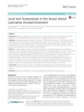 Local iron homeostasis in the breast ductal carcinoma microenvironment