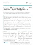 Expression of F-actin-capping protein subunit beta, CAPZB, is associated with cell growth and motility in epithelioid sarcoma