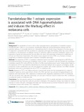 Transketolase-like 1 ectopic expression is associated with DNA hypomethylation and induces the Warburg effect in melanoma cells