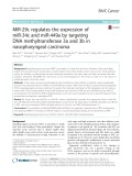 MiR-29c regulates the expression of miR-34c and miR-449a by targeting DNA methyltransferase 3a and 3b in nasopharyngeal carcinoma