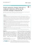 Protein expression changes induced in a malignant melanoma cell line by the curcumin analogue compound D6