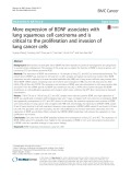 More expression of BDNF associates with lung squamous cell carcinoma and is critical to the proliferation and invasion of lung cancer cells