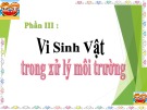 Bài giảng Vi sinh vật trong xử lý môi trường