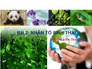 Bài giảng Nhân tố sinh thái – Lê Thị Thái Hà