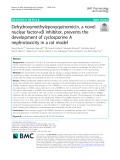 Dehydroxymethylepoxyquinomicin, a novel nuclear factor-κB inhibitor, prevents the development of cyclosporine A nephrotoxicity in a rat model