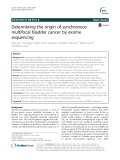 Determining the origin of synchronous multifocal bladder cancer by exome sequencing