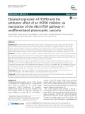 Elevated expression of HSP90 and the antitumor effect of an HSP90 inhibitor via inactivation of the Akt/mTOR pathway in undifferentiated pleomorphic sarcoma