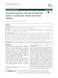 Cannabis exposure and risk of testicular cancer: A systematic review and metaanalysis