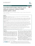Dual PI3K/mTOR inhibitor BEZ235 exerts extensive antitumor activity in HER2- positive gastric cancer