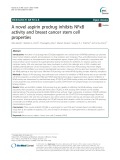 A novel aspirin prodrug inhibits NFκB activity and breast cancer stem cell properties