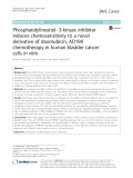 Phosphatidylinositol- 3-kinase inhibitor induces chemosensitivity to a novel derivative of doxorubicin, AD198 chemotherapy in human bladder cancer cells in vitro