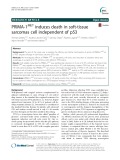 PRIMA-1MET induces death in soft-tissue sarcomas cell independent of p53