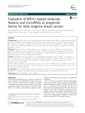 Evaluation of BRCA1-related molecular features and microRNAs as prognostic factors for triple negative breast cancers