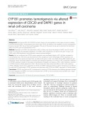 CYP1B1 promotes tumorigenesis via altered expression of CDC20 and DAPK1 genes in renal cell carcinoma