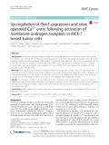 Up-regulation of Orai1 expression and store operated Ca2+ entry following activation of membrane androgen receptors in MCF-7 breast tumor cells