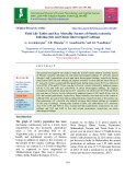 Field life-tables and key mortality factors of Plutella xylostella infesting sole and onion intercropped cabbage