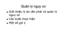 Bài giảng Quản lý nguy cơ