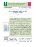 Effect of establishment techniques and sowing time on yield and yield attributes of proso millet (Panicum miliaceum L.)