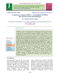 Pseudomonas aeruginosa KPSE 3 – An endophytic PGPR for Bio control of potato phytopathogens