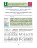 Histomorphology of thymus gland in Guinea fowl (Numida meleagris)