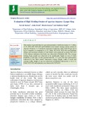 Evaluation of high yielding strains of Agaricus bisporus (Lange) sing