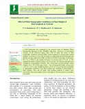 Effect of field topographic conditions on plant height of rabi sorghum in vertisols