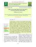 Effect of conservation tillage practices and cultivars on growth, yield and economics of rice