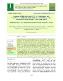 Response of different levels of F Y M vermicompost and neem cake on soil health yield attribute and nutritional value of field pea (Pisum sativum L.) var. Kashi Mukti
