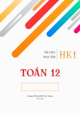 Tài liệu học tập Toán 12 học kì 1 – Trường THCS&THPT Mỹ Thuận Vĩnh Long